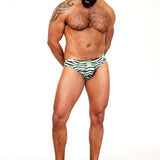 The Euro Brief // ZEBRA