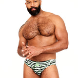 The Euro Brief // ZEBRA