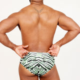 The Euro Brief // ZEBRA