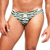 The Euro Brief // ZEBRA